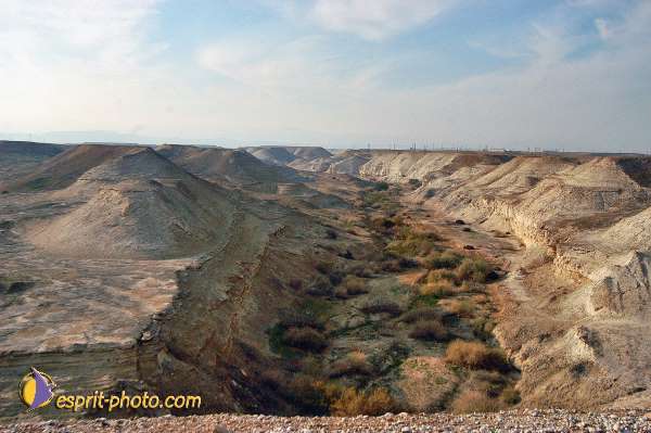 Nom de l'image : E00023440-1 — Description :