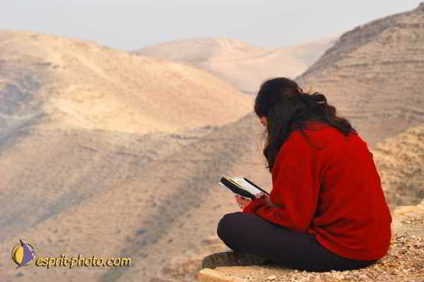 Nom de l'image : D1199950-1 — Description :  Voyage en Terre Sainte avec Jeunesse Lumière