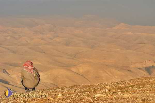 Nom de l'image : D1200024-1 — Description :  Voyage en Terre Sainte avec Jeunesse Lumière