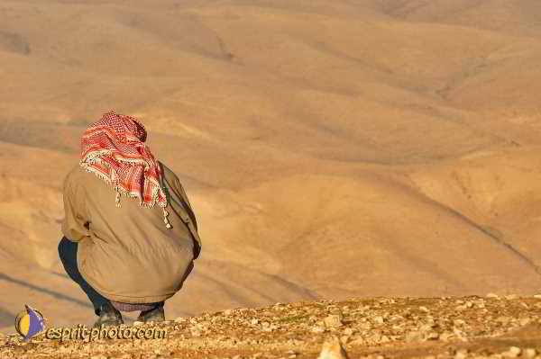 Nom de l'image : D1200029-1 — Description :  Voyage en Terre Sainte avec Jeunesse Lumière