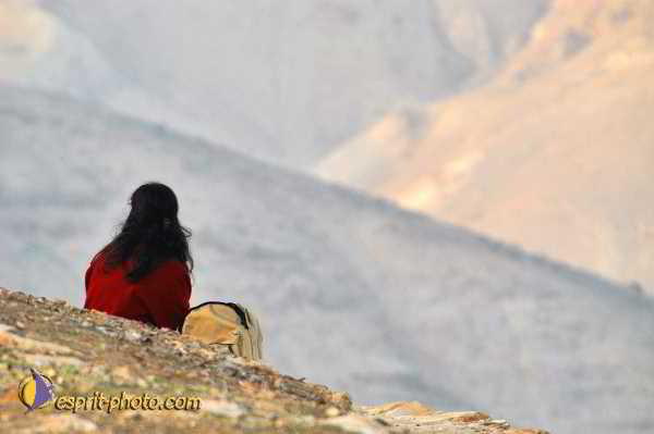 Nom de l'image : D1200105-1 — Description :  Voyage en Terre Sainte avec Jeunesse Lumière