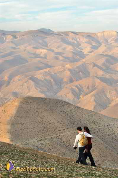 Nom de l'image : D1200116-1 — Description :  Voyage en Terre Sainte avec Jeunesse Lumière