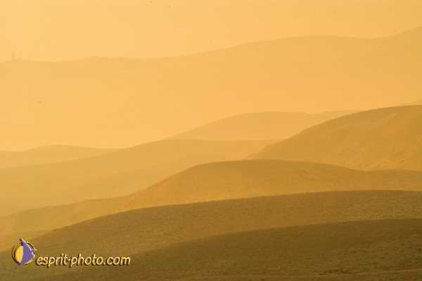 Nom de l'image : D1200328-1 — Description :  Voyage en Terre Sainte avec Jeunesse Lumière
