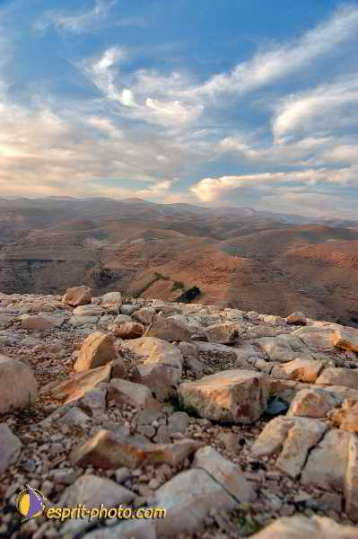 Nom de l'image : E00023675-1 — Description :