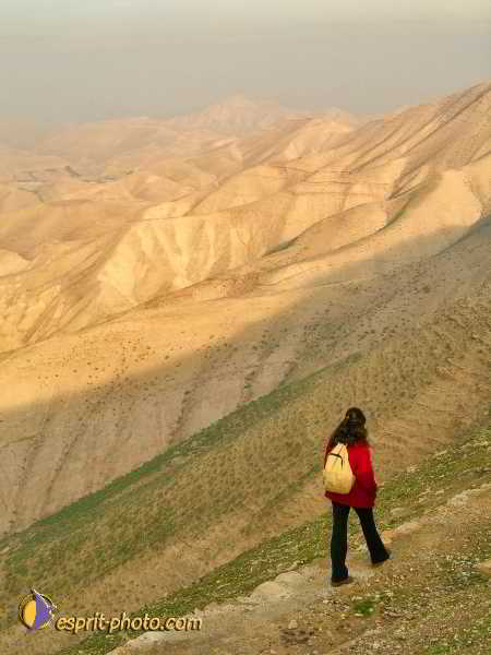 Nom de l'image : L1030102-1 — Description :  Voyage en Terre Sainte avec Jeunesse Lumière
