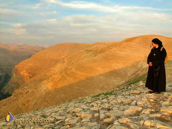 Nom de l'image : L1030141-1 — Description :  Voyage en Terre Sainte avec Jeunesse Lumière