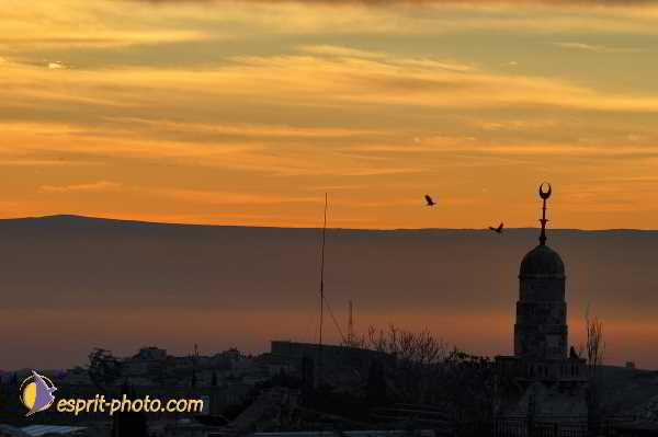 Nom de l'image : D1200581-1 — Description :  Voyage en Terre Sainte avec Jeunesse Lumière