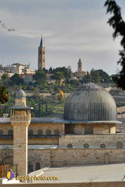 Nom de l'image : D1200641-1 — Description :  Voyage en Terre Sainte avec Jeunesse Lumière