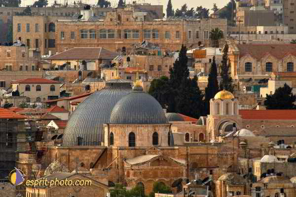 Nom de l'image : D1201010-1 — Description :  Voyage en Terre Sainte avec Jeunesse Lumière