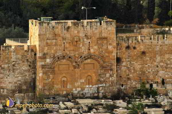 Nom de l'image : D1201011-1 — Description :  Voyage en Terre Sainte avec Jeunesse Lumière