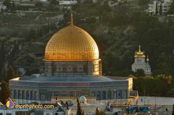 Nom de l'image : D1201434-1 — Description :  Voyage en Terre Sainte avec Jeunesse Lumière