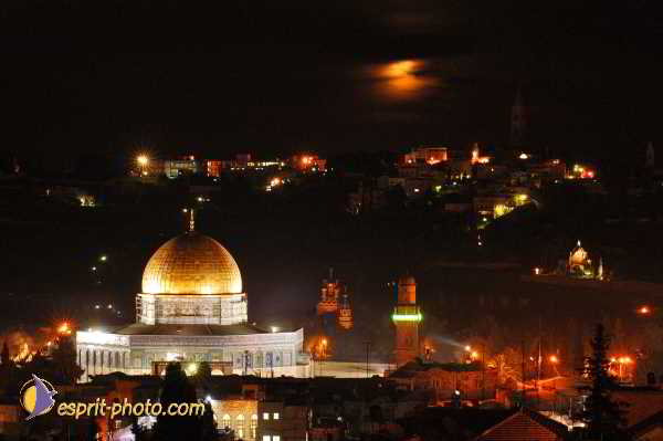 Nom de l'image : D1202420-1 — Description :  Voyage en Terre Sainte avec Jeunesse Lumière