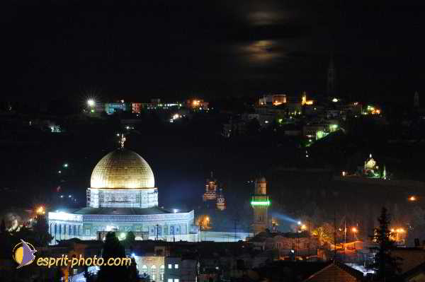 Nom de l'image : D1202424-1 — Description :  Voyage en Terre Sainte avec Jeunesse Lumière