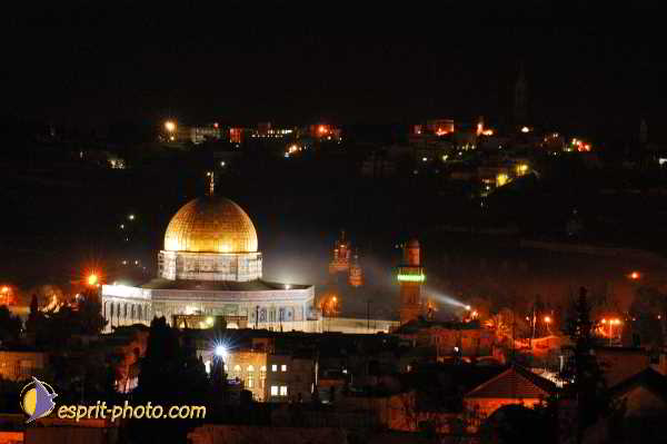 Nom de l'image : D1202597-1 — Description :  Voyage en Terre Sainte avec Jeunesse Lumière