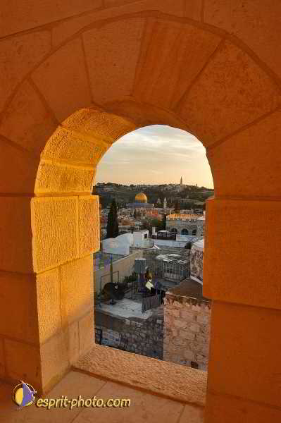 Nom de l'image : D1202636-1 — Description :  Voyage en Terre Sainte avec Jeunesse Lumière