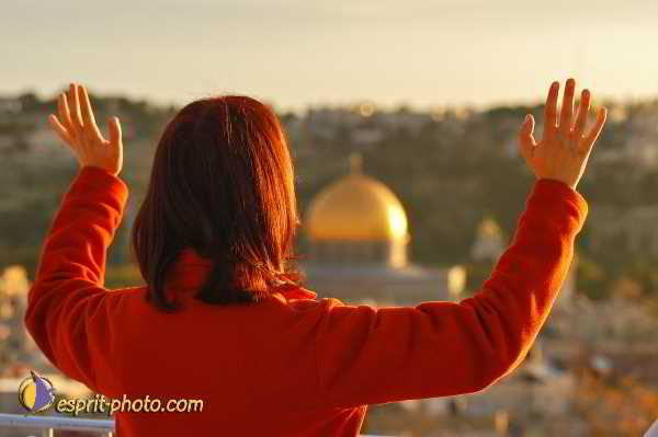 Nom de l'image : D1202683-1 — Description :  Voyage en Terre Sainte avec Jeunesse Lumière