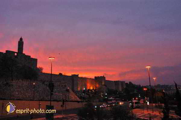 Nom de l'image : D1204045-1 — Description :  Voyage en Terre Sainte avec Jeunesse Lumière