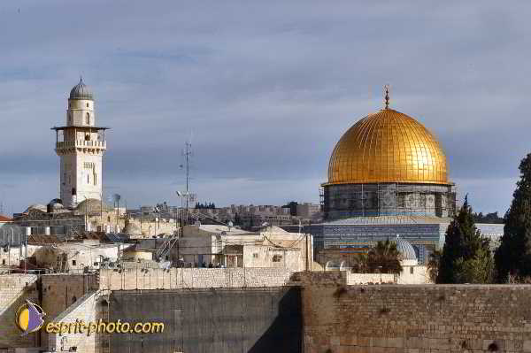 Nom de l'image : E00023829-1 — Description :