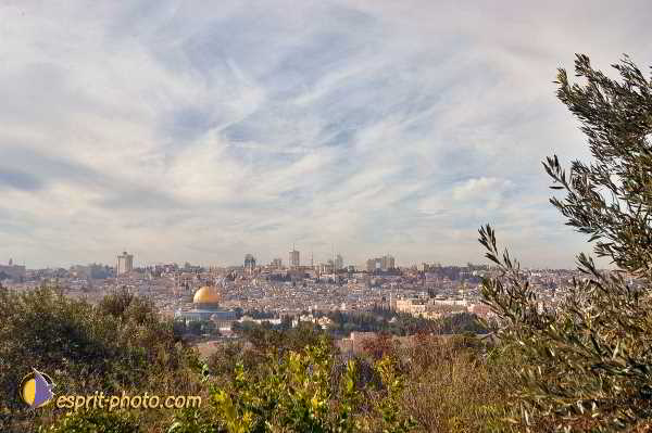 Nom de l'image : E00024022-1 — Description :