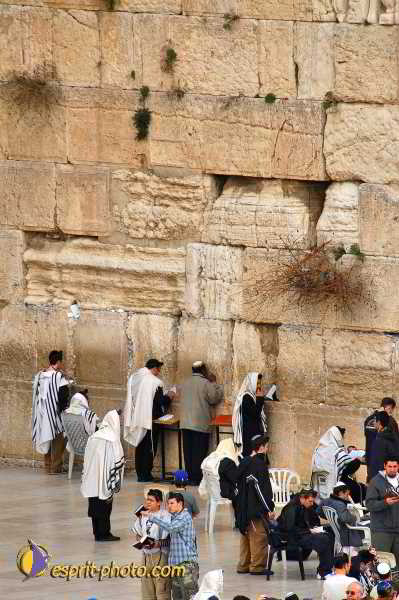 Nom de l'image : D1200656-1 — Description :  Voyage en Terre Sainte avec Jeunesse Lumière