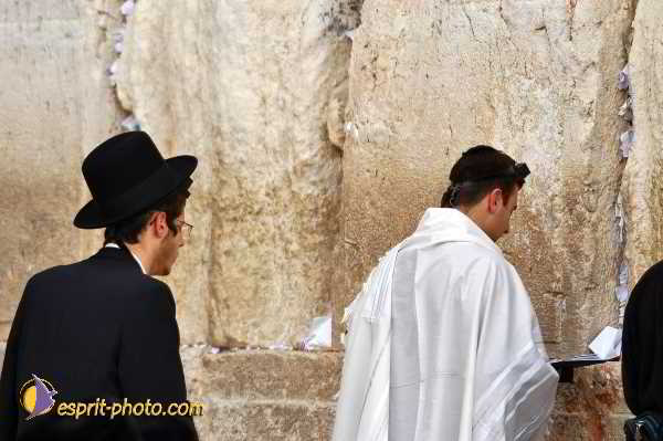 Nom de l'image : D1200692-1 — Description :  Voyage en Terre Sainte avec Jeunesse Lumière