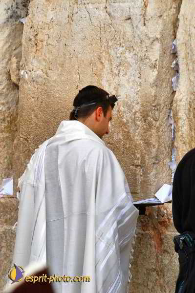 Nom de l'image : D1200693-1 — Description :  Voyage en Terre Sainte avec Jeunesse Lumière