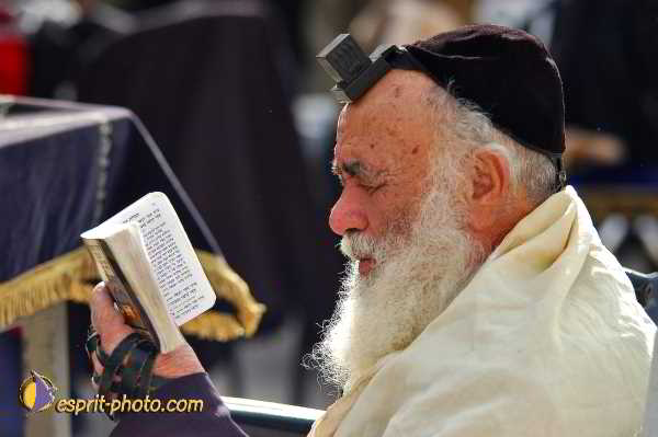 Nom de l'image : D1200696-1 — Description :  Voyage en Terre Sainte avec Jeunesse Lumière