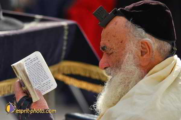 Nom de l'image : D1200699-1 — Description :  Voyage en Terre Sainte avec Jeunesse Lumière