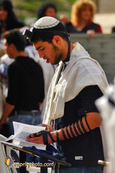 Nom de l'image : D1200717-1 — Description :  Voyage en Terre Sainte avec Jeunesse Lumière