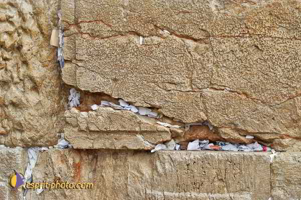 Nom de l'image : D1200738-1 — Description :  Voyage en Terre Sainte avec Jeunesse Lumière