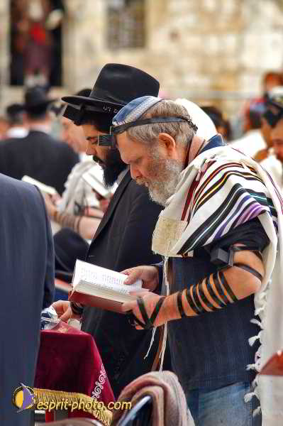 Nom de l'image : D1200739-1 — Description :  Voyage en Terre Sainte avec Jeunesse Lumière