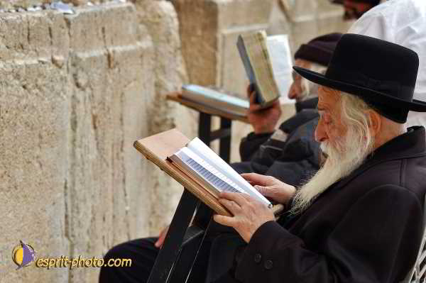 Nom de l'image : D1200745-1 — Description :  Voyage en Terre Sainte avec Jeunesse Lumière