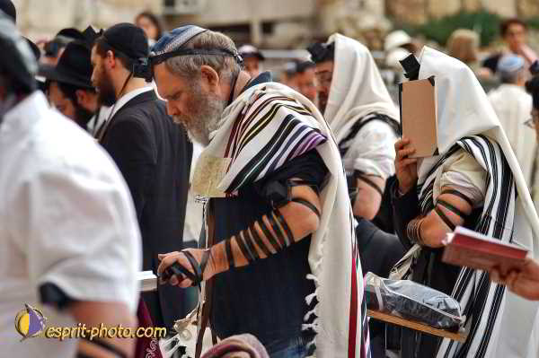 Nom de l'image : D1200746-1 — Description :  Voyage en Terre Sainte avec Jeunesse Lumière