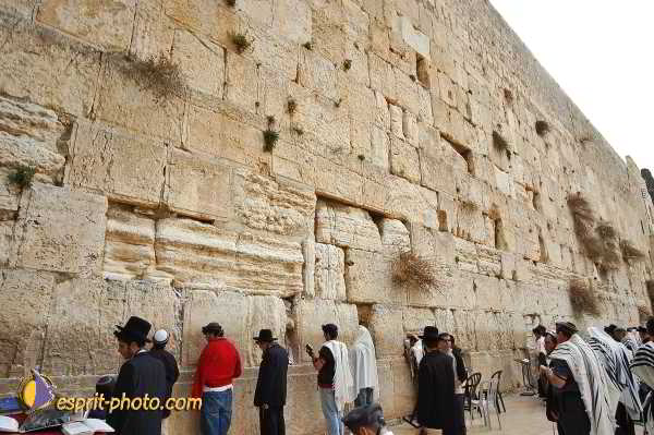 Nom de l'image : D1200753-1 — Description :  Voyage en Terre Sainte avec Jeunesse Lumière