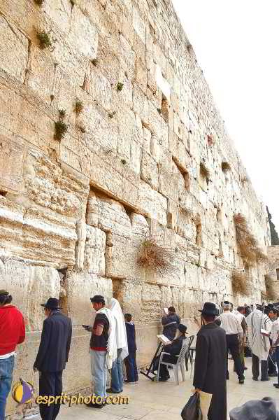 Nom de l'image : D1200755-1 — Description :  Voyage en Terre Sainte avec Jeunesse Lumière