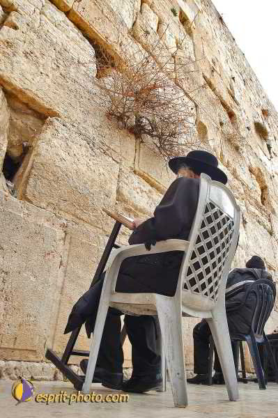 Nom de l'image : D1200757-1 — Description :  Voyage en Terre Sainte avec Jeunesse Lumière