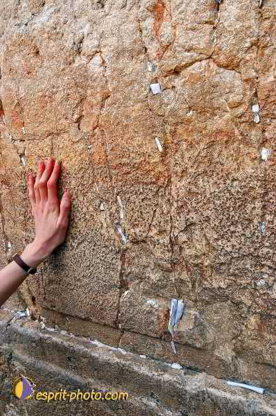 Nom de l'image : E00023871-1 — Description :