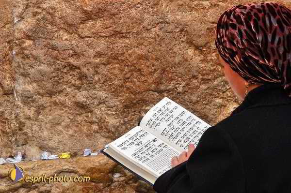 Nom de l'image : E00023876-1 — Description :