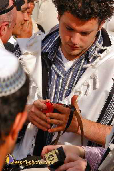 Nom de l'image : E00023894-1 — Description :