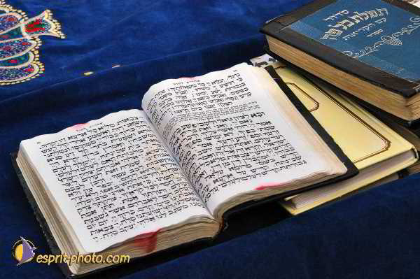 Nom de l'image : E00023923-1 — Description :