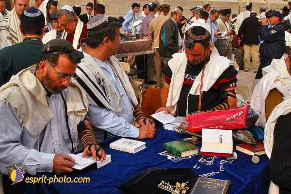 Nom de l'image : E00023926-1 — Description :