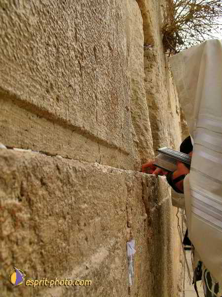 Nom de l'image : L1030244-1 — Description :  Voyage en Terre Sainte avec Jeunesse Lumière