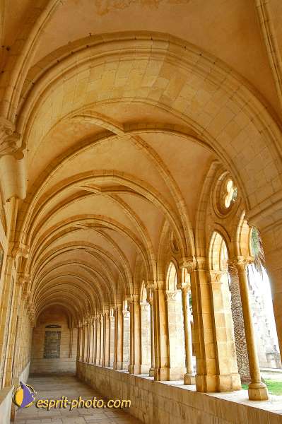 Nom de l'image : D1200875-1 — Description :  Voyage en Terre Sainte avec Jeunesse Lumière