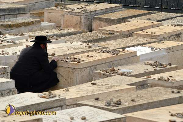 Nom de l'image : D1201028-1 — Description :  Voyage en Terre Sainte avec Jeunesse Lumière