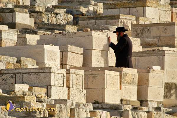Nom de l'image : D1201057-1 — Description :  Voyage en Terre Sainte avec Jeunesse Lumière