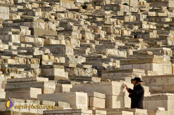 Nom de l'image : D1201059-1 — Description :  Voyage en Terre Sainte avec Jeunesse Lumière