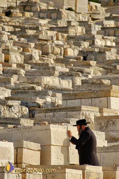 Nom de l'image : D1201061-1 — Description :  Voyage en Terre Sainte avec Jeunesse Lumière