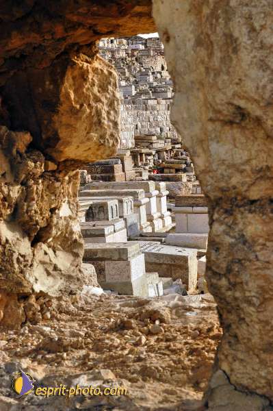 Nom de l'image : E00024095-1 — Description :