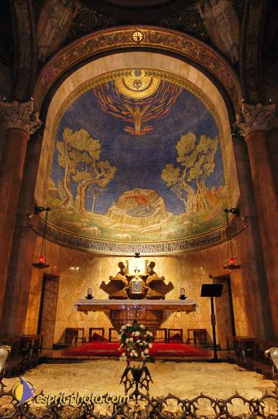 Nom de l'image : D1201134-1 — Description :  Voyage en Terre Sainte avec Jeunesse Lumière