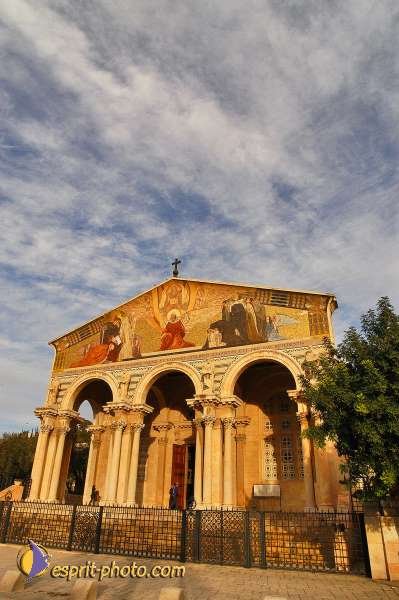 Nom de l'image : D1201145-1 — Description :  Voyage en Terre Sainte avec Jeunesse Lumière